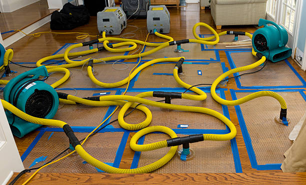 Professional Flood Damage Restoration technician working in Morgantown, MS
