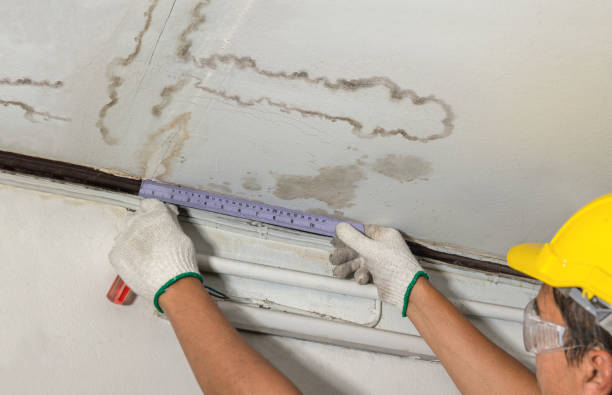 Affordable Water Damage Repair solutions in Morgantown, MS